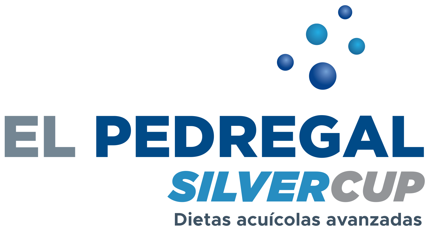 El Pedregal Silver Cup